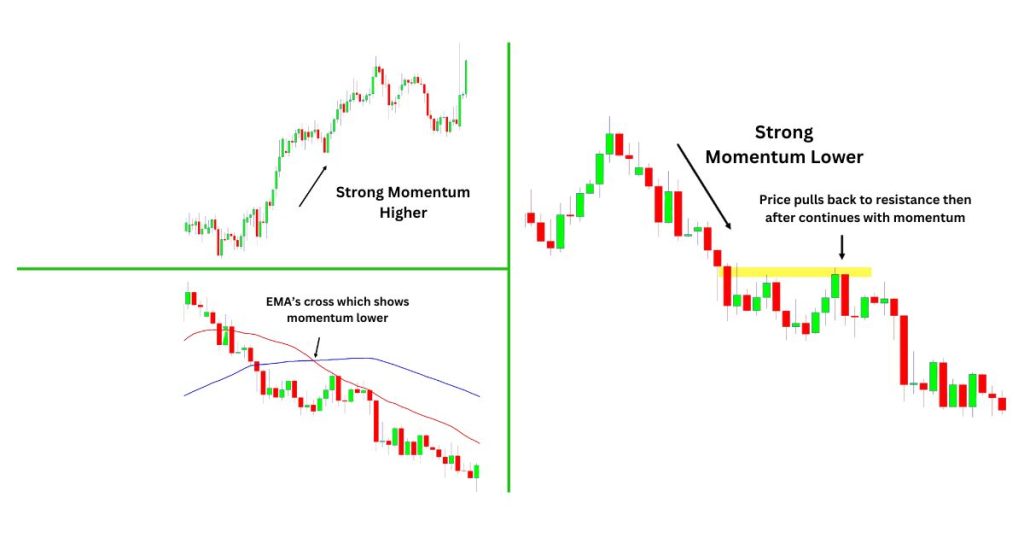 momentum investing