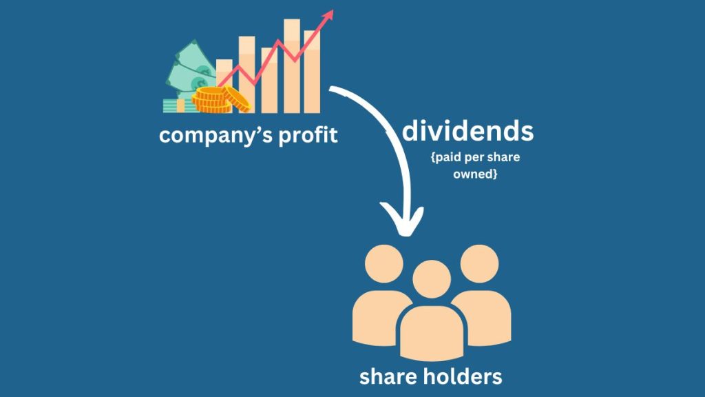 dividends